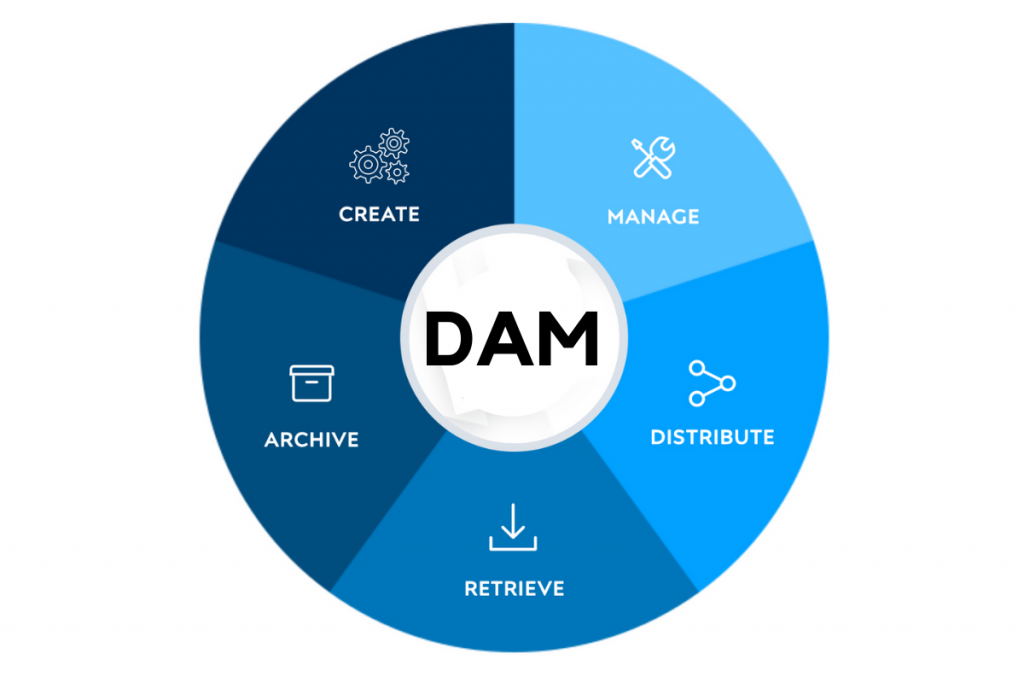 Digital Asset Management