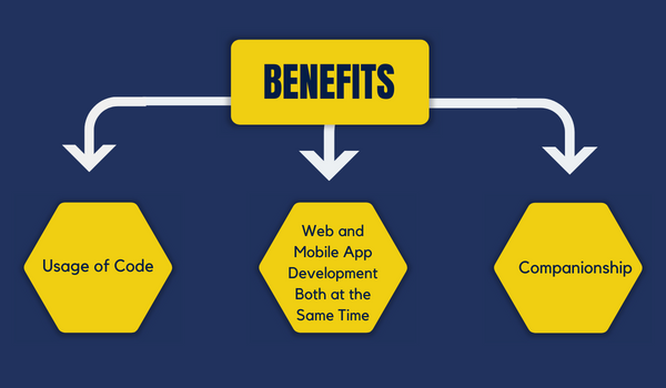 Benefits of Flutter Web Development for Businesses